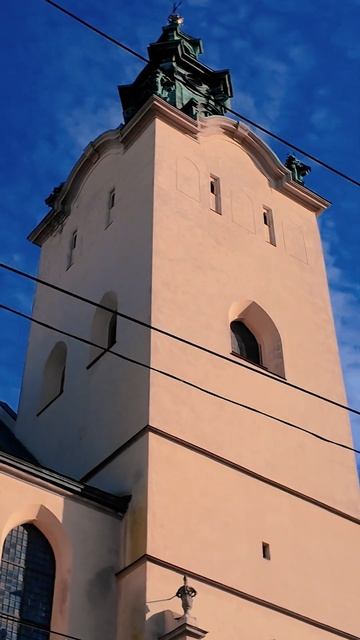 Latin Cathedral Lviv 2024