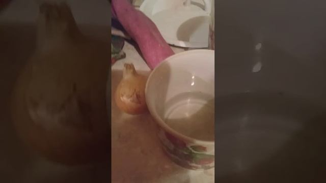 эксперимент насколько вырастут корни у лука за мои каникулы. Буду выкладывать каждый день результат