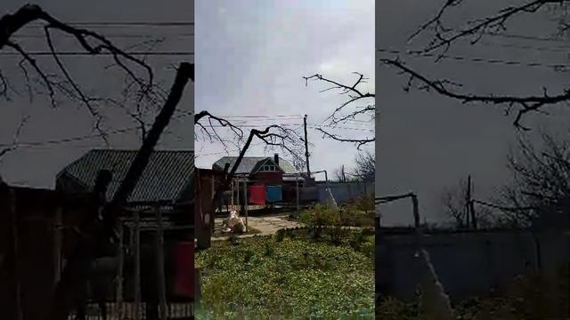 В Армавире у бабушки. Весна, тепло