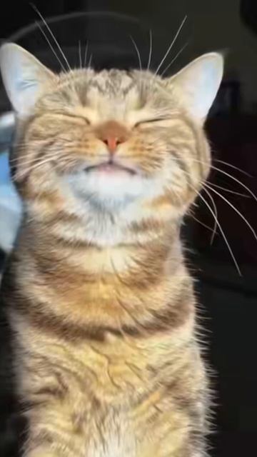 Чистый кайф💯