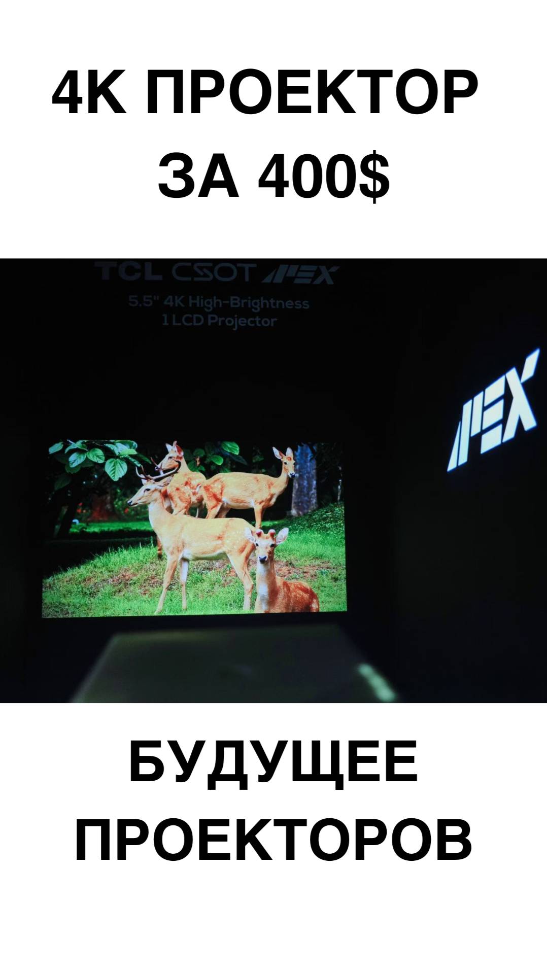TCL ДЕЛАЕТ ПРОЕКТОРЫ? Нативный 4K за $400 — революция на рынке?
#TCL #4KПроектор #Технологии #LCD #C