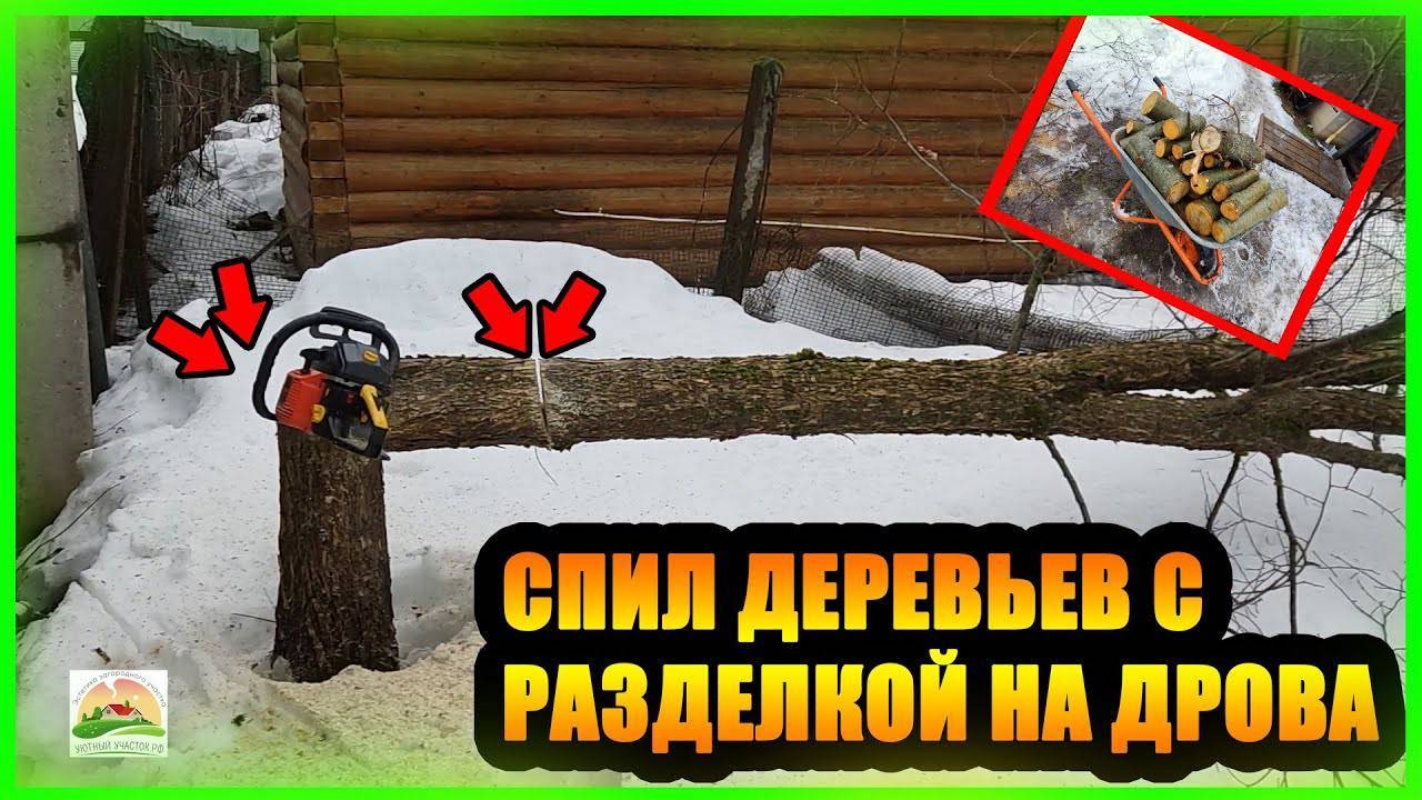 СПИЛ ДЕРЕВЬЕВ С РАЗДЕЛКОЙ НА ДРОВА- БЕЗ КОРЧЕВАНИЯ ПНЕЙ, И ВЫВОЗА ВЕТОК