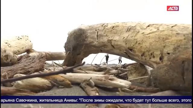 Анивские коллективы убрались на местном пляже