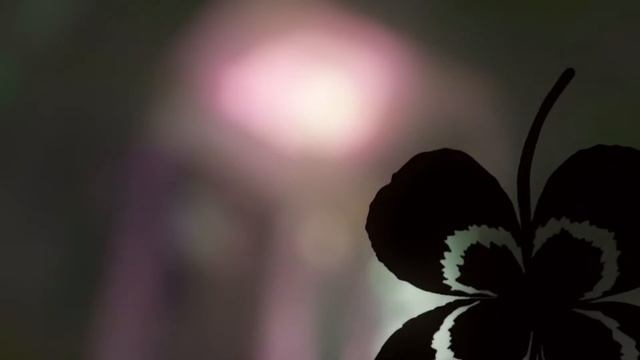 Honey and Clover | ED1