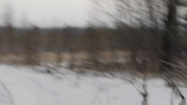 Заезд на охоту (открытие зимнего сезона)