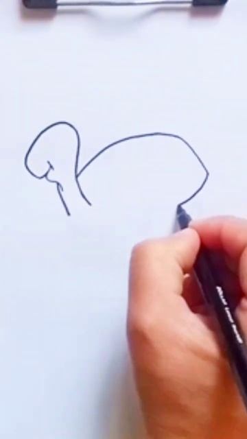 How To Draw Turtle 🐢 Ll Easy Drawing For Kids Beginners....