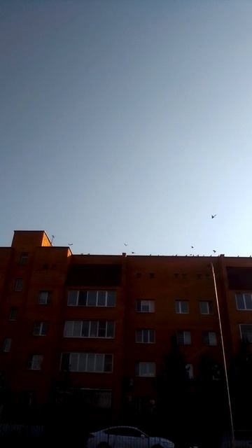 VID_20250324_155424.mp4