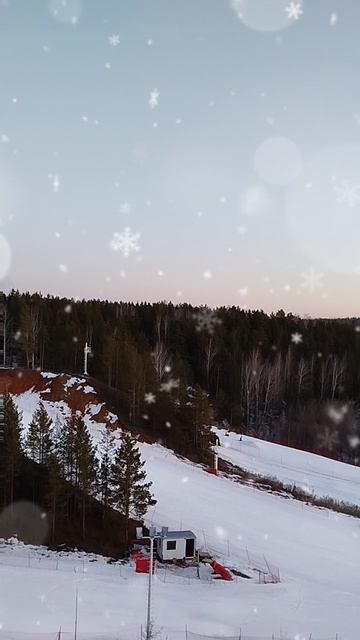 1000019333.mp4