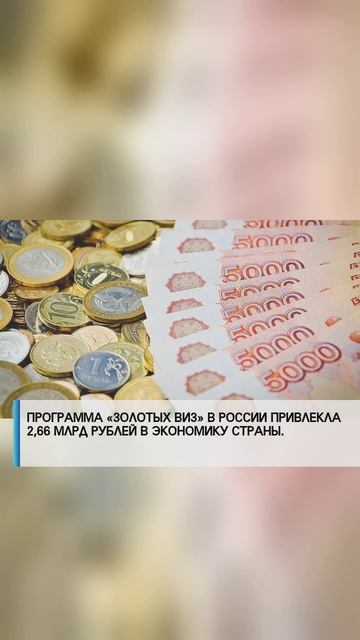 Политика России — всегда в центре внимания! 🇷🇺🔥
