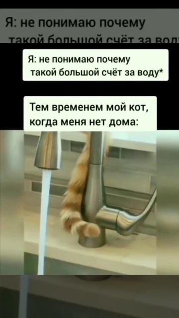 Большой счёт за воду