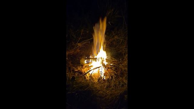Ночной костер/night bonfire