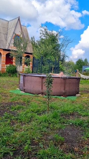 dacha1.mp4