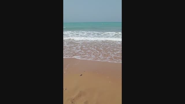 BM BEACH HOTEL 4* ОАЭ, Рас-эль-Хайма 2025 пляж,бассейн,анимация