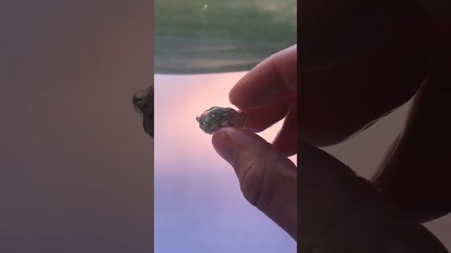 37 carat Incredible Green Dichroic Oregon Sunstone!