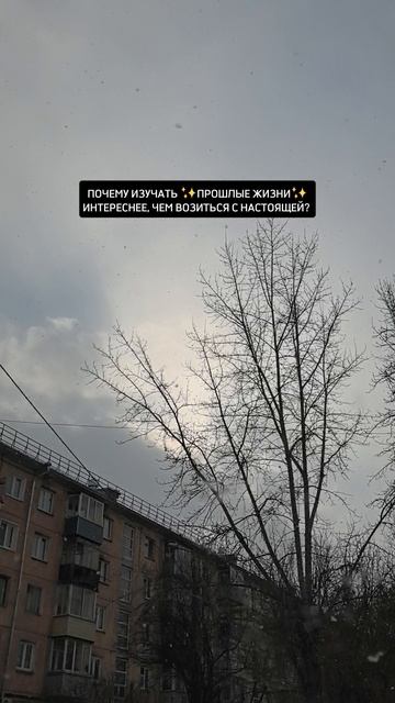 Почему изучать прошлые жизни интереснее, чем возиться с настоящей?