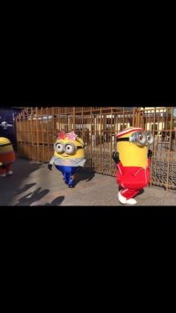 HD【第51回02S】ミニオン #Shorts