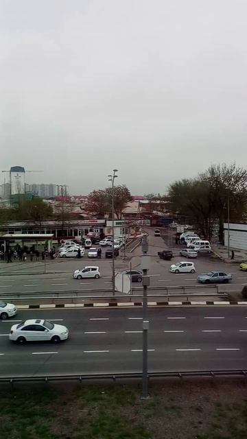 Ташкент рохат вид с верху.
