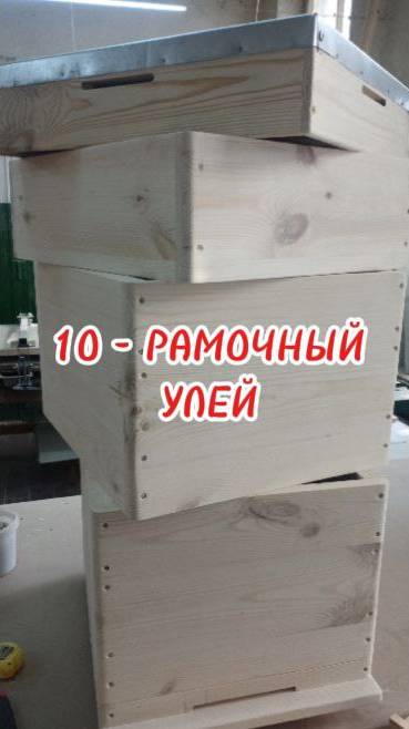 10 - РАМОЧНЫЙ УЛЕЙ
