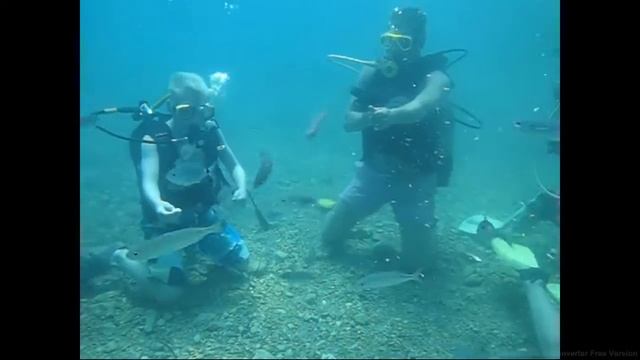 Atlantis Dive Club - Alanya - Türkiye - Scuba Diving