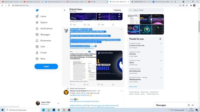 PİTBULL TOKEN YAHOO İLE ANLAŞMAYA VARDI! ZENGİNLİK FIRSATI! | Pitbull (PIT) Coin Analiz