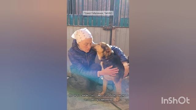 Вишня ищет дом. Москва.