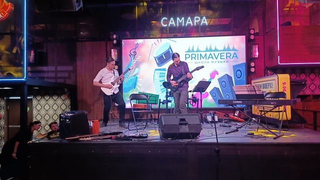 the bee (Primavera live)