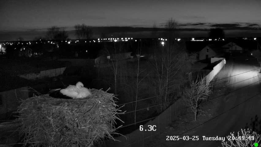 🔴LIVE🔴 Брестский аист, ЭФИР В 21-00