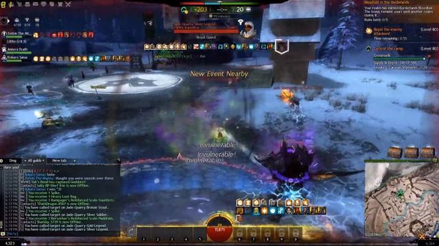 Guild Wars 2 N Camp Farming