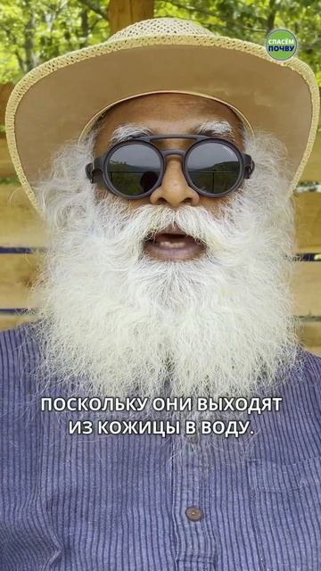 Секреты замоченных орехов и их польза для здоровья