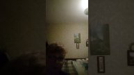 Хаш так тапак пародия песен