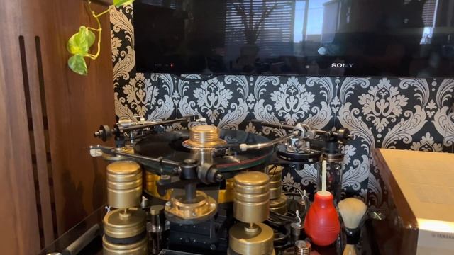 Tannoy Canterbury SE - Accuphase - System Deck ll - Shure cartridge - SME Tonearm Plays Dire Strait