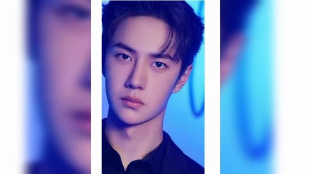MY SHADOW EXPLANATION PART 6 IN HINDI #wangxaion #yizhan