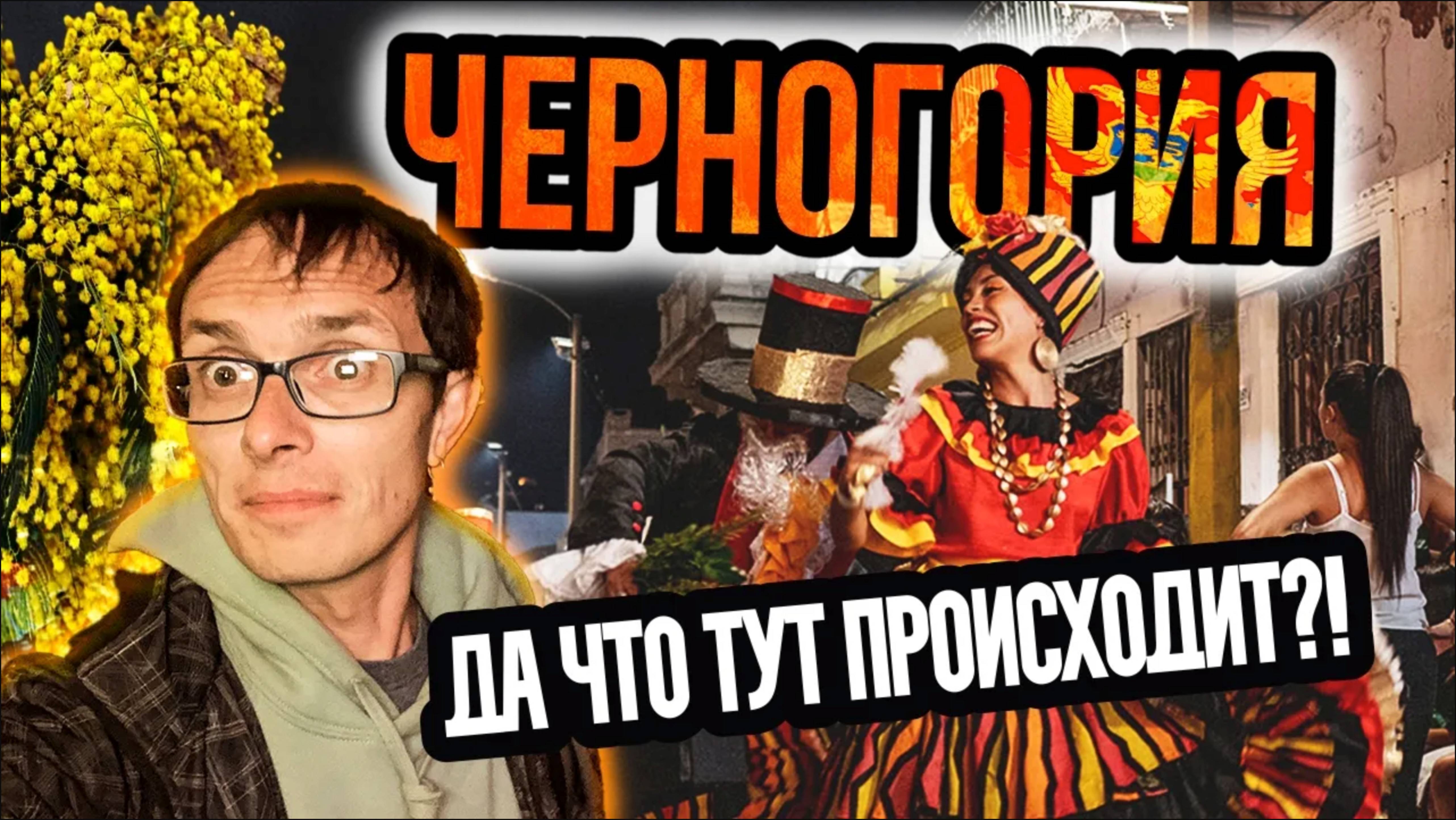 Черногория зимой  – Карнавал, Вино, Мимозы Влог 2025