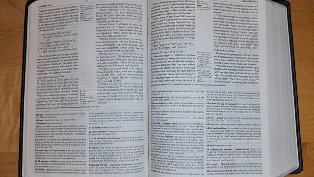 Bible in a Year - Day 2: Genesis 4-7, Psalm 2
