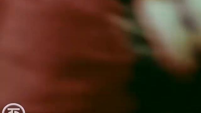 Комарики, мушки дробненькие (1969г.) - село Готовье Красненского района Белгородской области