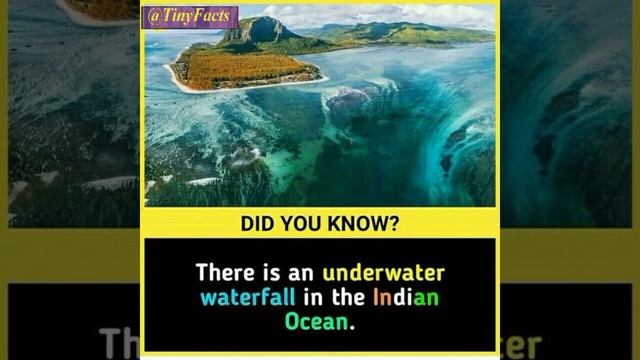 Did You Know? | Interesting Facts