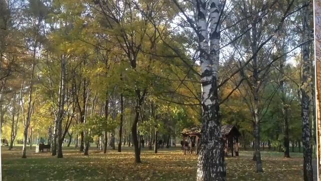 скерцо