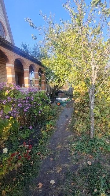 dacha2. mp4
