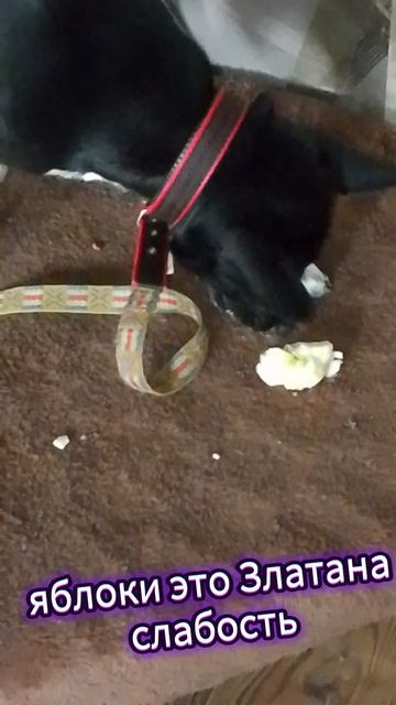 1000029626.mp4