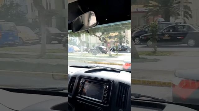 Nueva Unidad de Transporte "Sr. Cautivo"