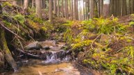 РАССЛАБЛЯЮЩИЕ ЗВУКИ FULL HD.РУЧЕЙ В ЛЕСУ/RELAXING SOUNDS FULL HD.STREAM IN THE FOREST