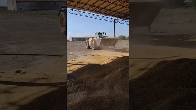 Погрузка Зерна