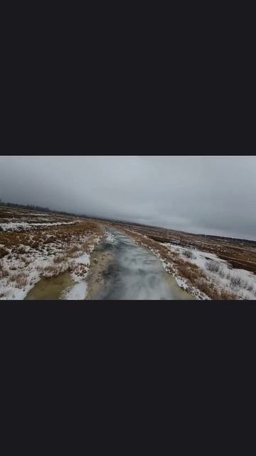 Поле