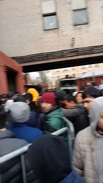 САНКТ ПЕТЕРБУРГ СЕРТИФИКАТ ОЛИШ