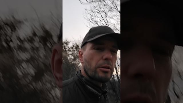 жизнь прекрасна