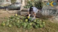 Ногаи Ногайцы благие дела тюрки кочевники юрт