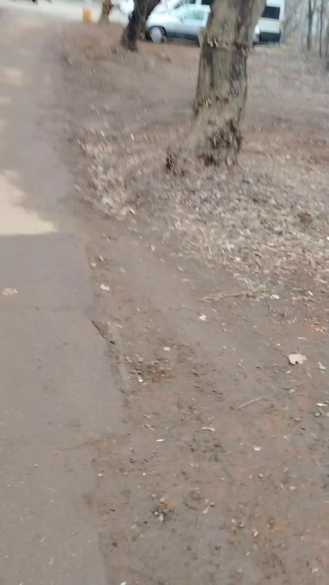 Путешествие в магазин 😁😁😁