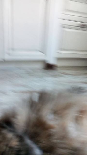 Жеска под кайфом