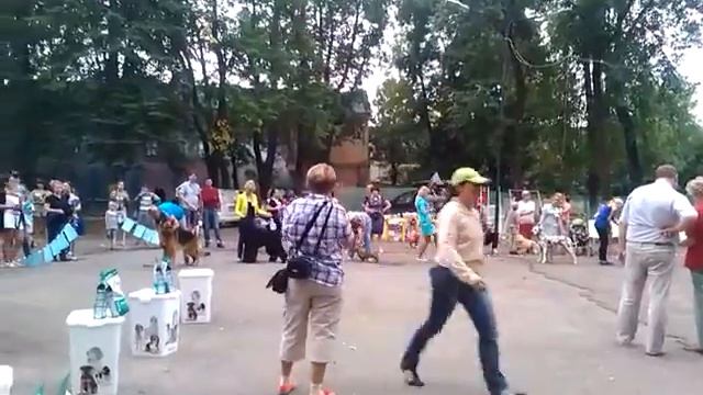 VID 20140817 175129