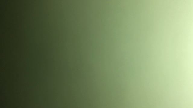Что стоишь качаясь тонкая рябина